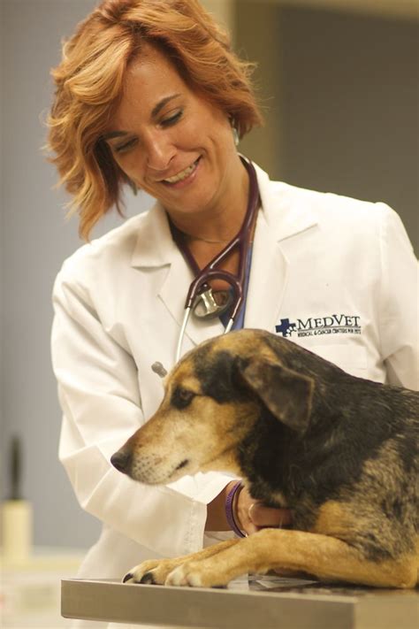 Medvet toledo - MedVet is seeking experienced Relief Emergency Veterinarians to support our Toledo, OH hospital. The MedVet Emergency Medicine Team treats over 100,000 patients annually and we are looking for a relief doctor to support our team. The ideal candidate thrives in a fast-paced environment and is dedicated to practicing the highest quality of …